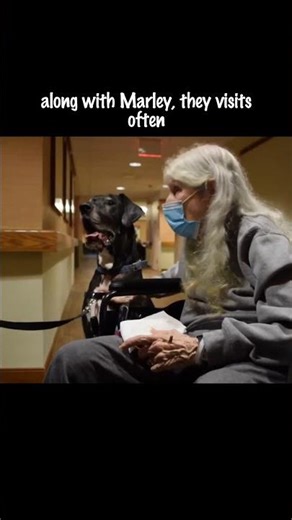 Dogs Don’t See Age… Only Souls 🐶💫