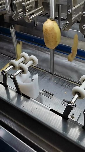 Automated Potato Peeling Process in Food Processing