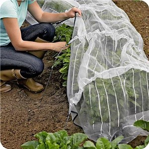 [Hot Item] HDPE UV Agricultural Greenhouse Plastic Insect Nets for Sale Garden Insect Netting