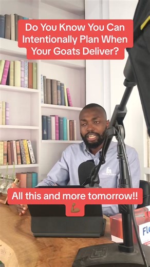 How To Start A Successful Goat Farm As A Business in Africa is happening Tomorrow!!! #goatfarm #semanhyiafarms #agriculture #farminginafrica #livestockfarming #boergoats #webinar | Farming In Africa