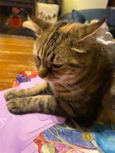 #chat #oracle #momentpresent | LauRa Lefevre