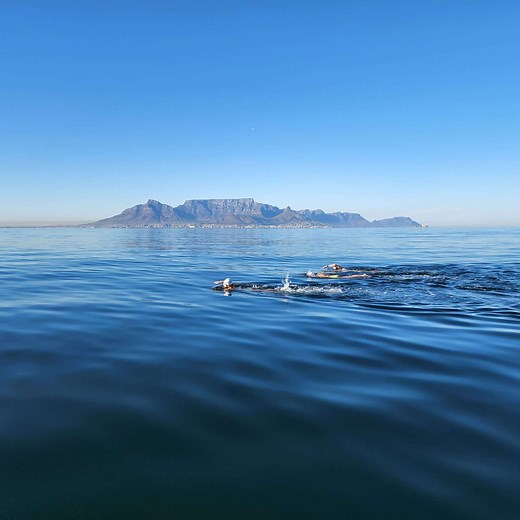 Robben Island Swim Training in Cape Town - Cape Town Swim