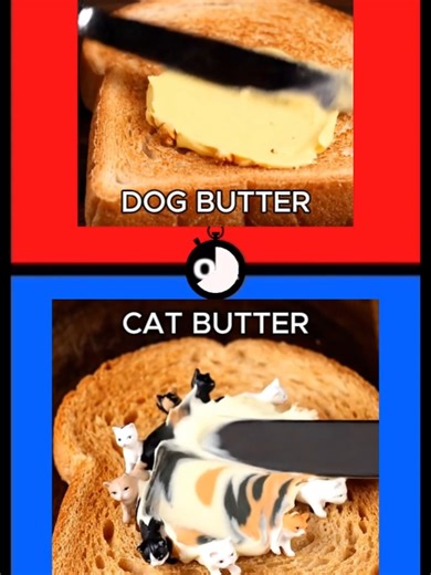 Fun Would You Rather Questions to Challenge Your Choices