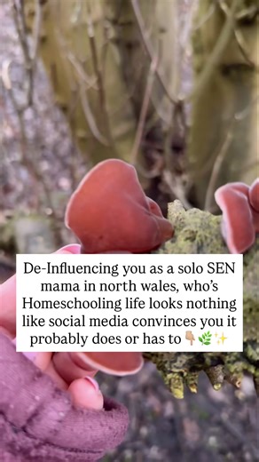 Authentic Homeschooling as a SEN Mum in North Wales