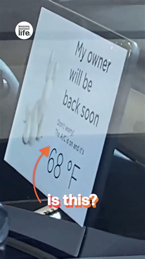 Tesla lets strangers know the dog's okay 🐶👍 | Lessons Learned In Life