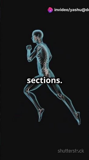 Understanding Anatomical plane of human body