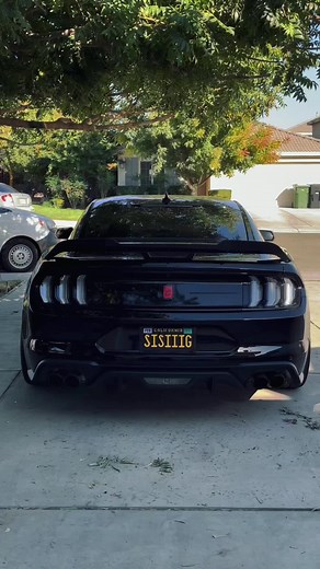 Enhance Your S550 Mustang with Euro Tail Lights