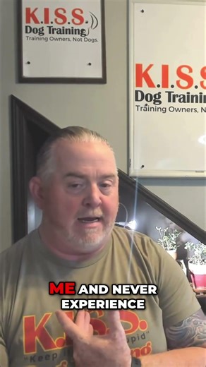 Master Focus & Reward Your Pup!