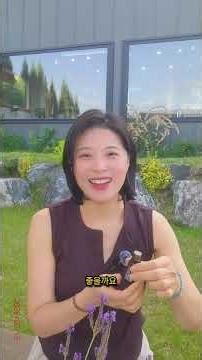 [페퍼민트 오일] 세포 하나하나 깨워줄 강력한 천연 에너지 부스터