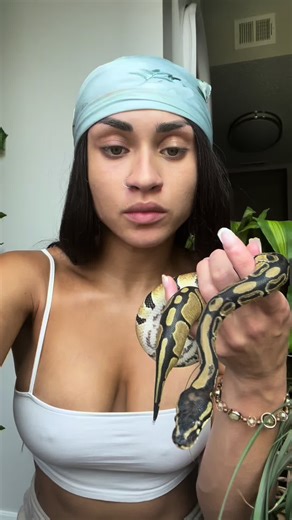 Caring for Your Ball Python: Tips and Tricks