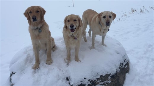 Batches of snow in CNY this weekend, Winter Weather Advisories for some
