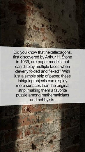 The Fascinating World of Hexaflexagons