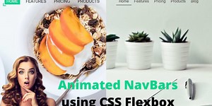 Two Animated NavBars with Hover Effects using HTML & CSS