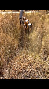 Mowing tall grass with my 33 inch Cub Cadet mower #Lawncare #mowing #grass | Something 2LookAt
