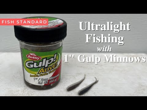 Ultralight Bank Fishing for Bluegill and Crappie with 1" Gulp Minnows (Big Bonus Fish)