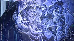 Close up view of male hand thrashing and hitting TV set screen for anger and madness. Details of fragmented television monitor pulverized and smashed by crazy man with hammer