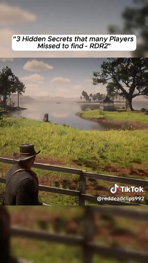 Hidden Secrets in Red Dead Redemption 2 You Missed