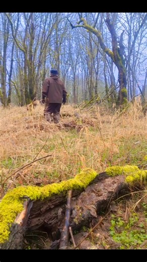 Nobody takes you deeper than The Bigfoot Expert, nobody. With The Bigfoot Expert Follow on Facebook for more original Sasquatch Bigfoot photos and videos. #bestofthebest #watch #reels #Washington #documentary #adventure #survivor #fearless #bigfoot #Sasquatch #videos #notawoodpecker | The Bigfoot Expert