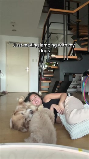 Bad Dog Confessions: Share Your Misbehaving Pup!