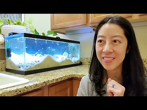 All My Fish Tanks 2022 (and Which One I’m Taking Down)