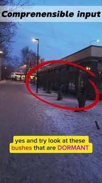 Using comprehensible input. #english #learnenglish #vocabulary #comprehensibleinput