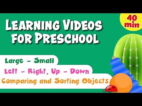 Learning Object Comparison & Sorting for Kids. Learning about Left and Right, Up and Down.