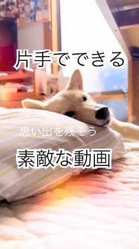 #有料広告#VLLO#ブロ#動画編集#簡単編集