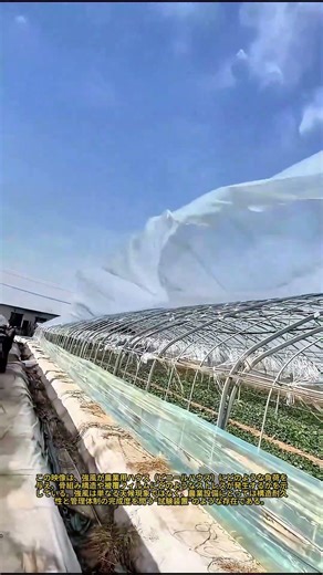 農業被害 強風による温室の運営へのストレス：強風が温室の構造とビニールシートに与える影響