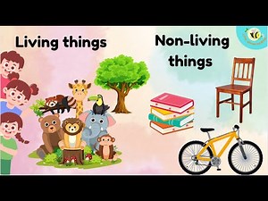 Living and Non Living Things Explained for Kids | Fun Learning Video