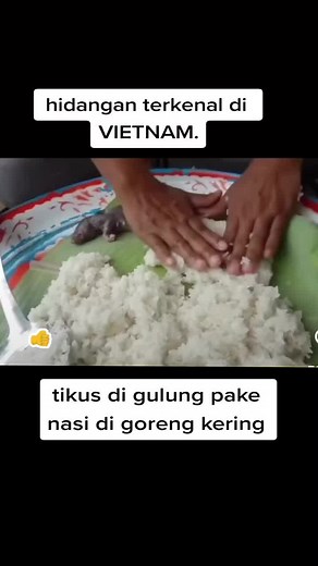 Delicious Rat Meat Dish in VIETNAM