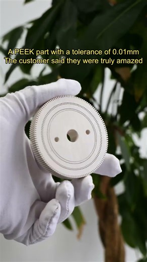 ARKPEEK ±0.01mm – Your Design in PEEK #peek #plastic #gear #gears