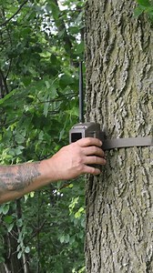 The summer grind is in full swing! More and more trail cameras are hitting the woods to keep tabs on those velvet bucks. | Cuddeback Digital