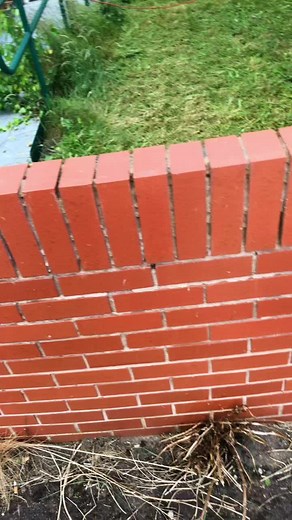 Danny Baldwin (@dannybaldwin94)’s videos with OMG - White Gangster