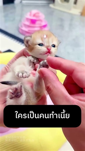 ใครเป็นคนทำเนี้ย