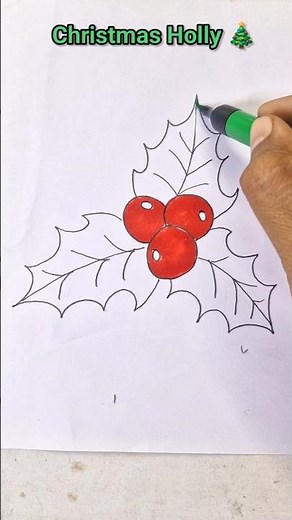 How to Draw Christmas Holly (Easy)