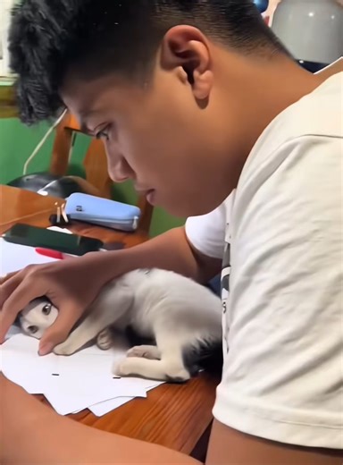 Xlovepets on Instagram: "好的，这是图片中的文字内容： 在日本，研究人员正利用智能人行道将日常活动转化为清洁能源⚡。这些道路内嵌特殊的压电材料，可以从行人的脚步中收集动能。当人们行走、奔跑或跳跃时，路面会轻微变形，从而产生机械压力。压电晶体将这种压力转化为电能🔋。 这些能量可用于照亮路灯、为公共显示屏供电，甚至监测行人流量。这种技术不仅减少了能源浪费，还展示了未来城市的无限可能🌃。 在东京、京都等城市的试验区，人们的每一步都在为绿色地球贡献力量💚。科技让生活更环保，也让每一个脚步更有意义✨。 #日本 #科技 #创新 #可持续 #绿色能源 #未来城市 #环保 #知识 #事实 #推荐 #你知道吗 #技术 #实验 #热门 #animalvideos #petsdaily #cute #viral #petlove"