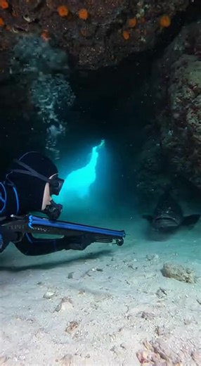 Exploring the Caves: Encounter with a Massive Black Grouper