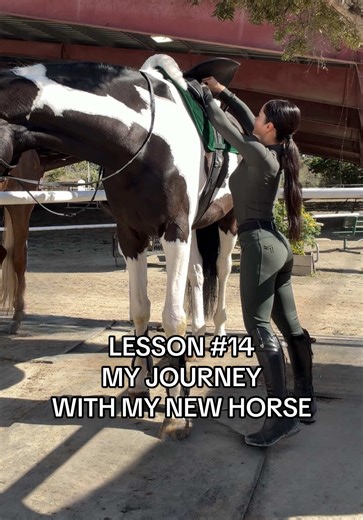 MY JOURNEY WITH MY NEW HORSE: Lesson 14 Every lap around the ring felt like progress, and I love seeing how far we’re already coming together. These are the kinds of rides that stick with you long after you leave the barn. ✨🐴 Days like this are my favorite. Having new experiences, did a group lesson with @Adelaine Morin and we are so happy to have @sierrafurtado back at the barn! 🤍 #equestrian #horse #horsegirl #horseriding #horsetok