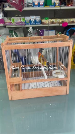 Video di Uccelleria Novi (@uccellerianovi) con For Me, Formidable - Charles Aznavour