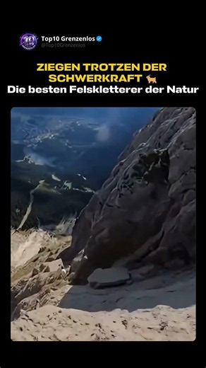 Warum Ziegen an fast senkrechten Felsen klettern können 🐐⛰️