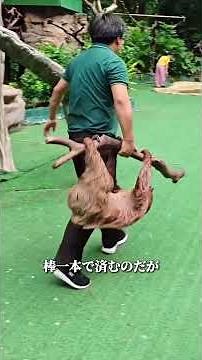動物たちの退社方法は多種多様で、まるで現実版のズートピアだ。