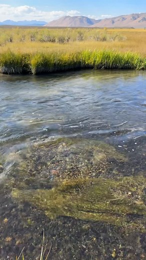 8K views · 1.1K reactions | First redd of the fall seasons on the...