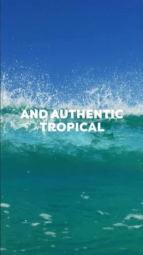 Barakat Coconut Water — Pure Coconut. Natural Electrolytes. Hydration Perfected.