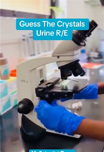 Understanding Urine R/E: Assessing Kidney Health