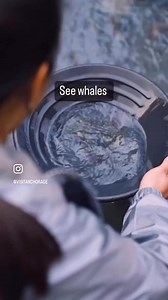 Put Anchorage at the top of your travel to-do list in 2025. #visitanchorage | Visit Anchorage