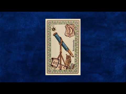 Découverte I Oracle Belline