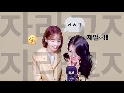 IZONE ASMR