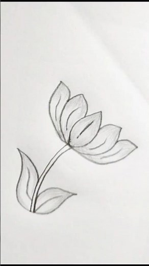 "Lotus Flower Drawing | Beautiful Pencil Sketch | Easy Step by Step Art for Beginners 🌸"