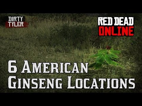 5 American Ginseng Locations Red Dead Online Beta RDR2