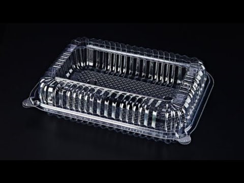 Plastic PP Clear Clamshell Food Container Lunch Box Making Automatic Thermoforming Machine